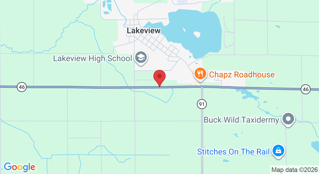 9580 Howard City Edmore Rd, Lakeview, MI 48850, USA