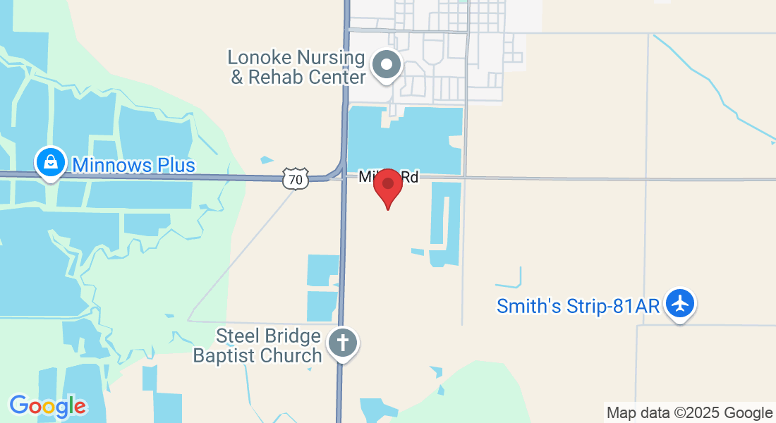 Lonoke County, AR, USA