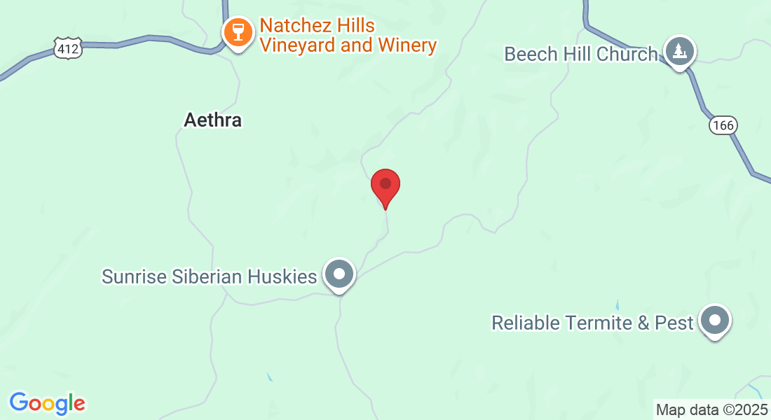 Baptist Branch Rd, Tennessee 38474, USA