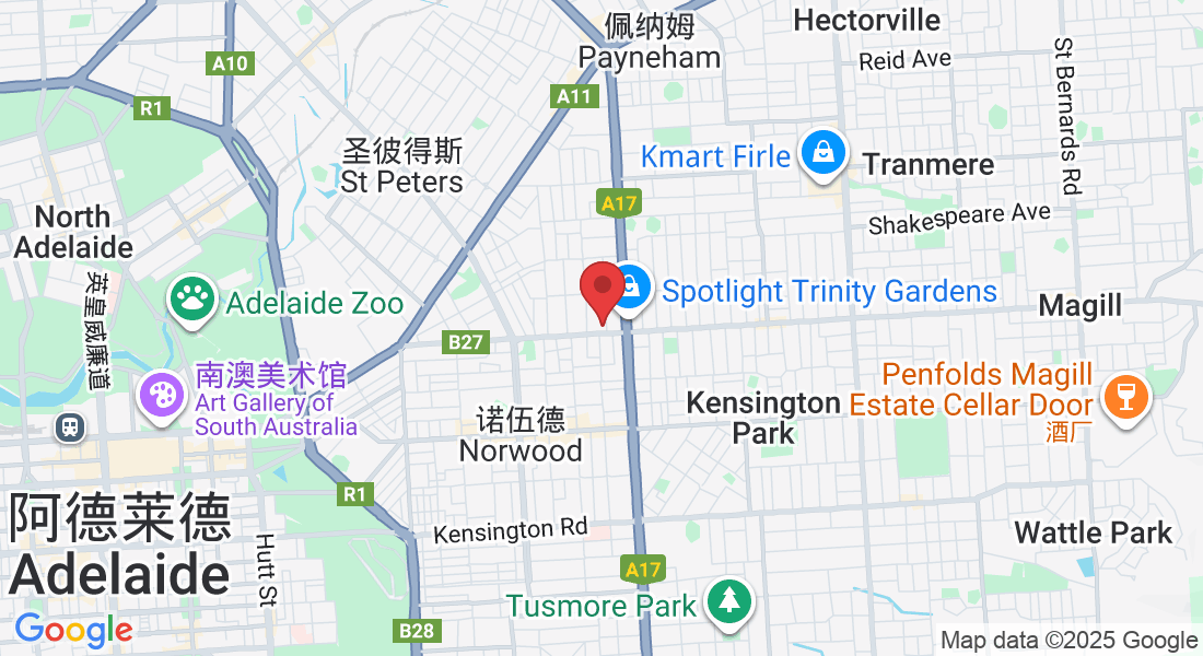 239 Magill Rd, Maylands SA 5069澳大利亚