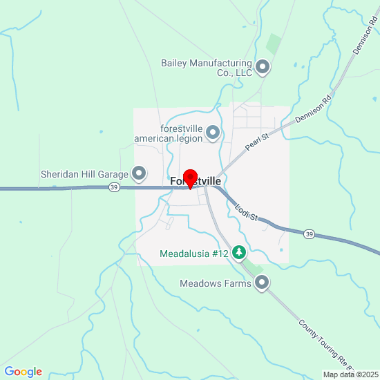 24 Main St, Forestville, NY 14062, USA