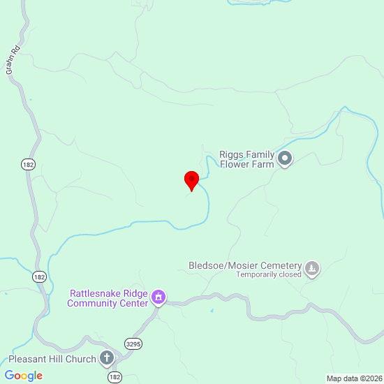 115 Mills Branch Rd, Olive Hill, KY 41164, USA
