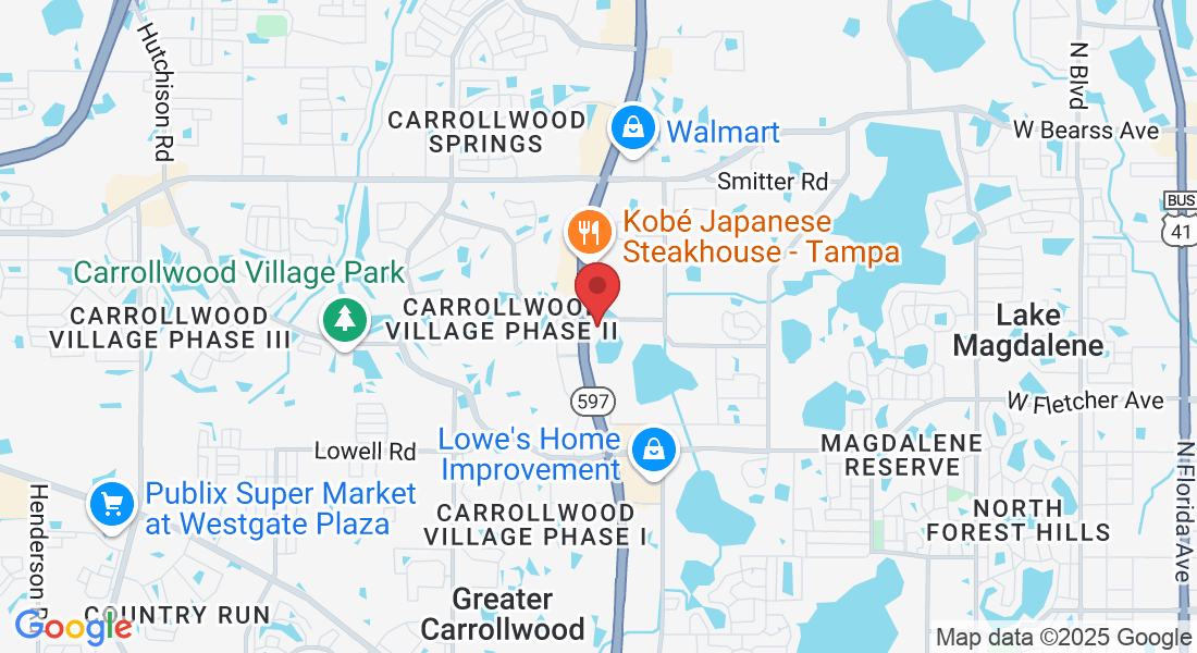 3418 Handy Rd, Tampa, FL 33618, USA