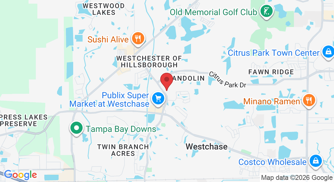 11049 Countryway Blvd, Tampa, FL 33626, USA
