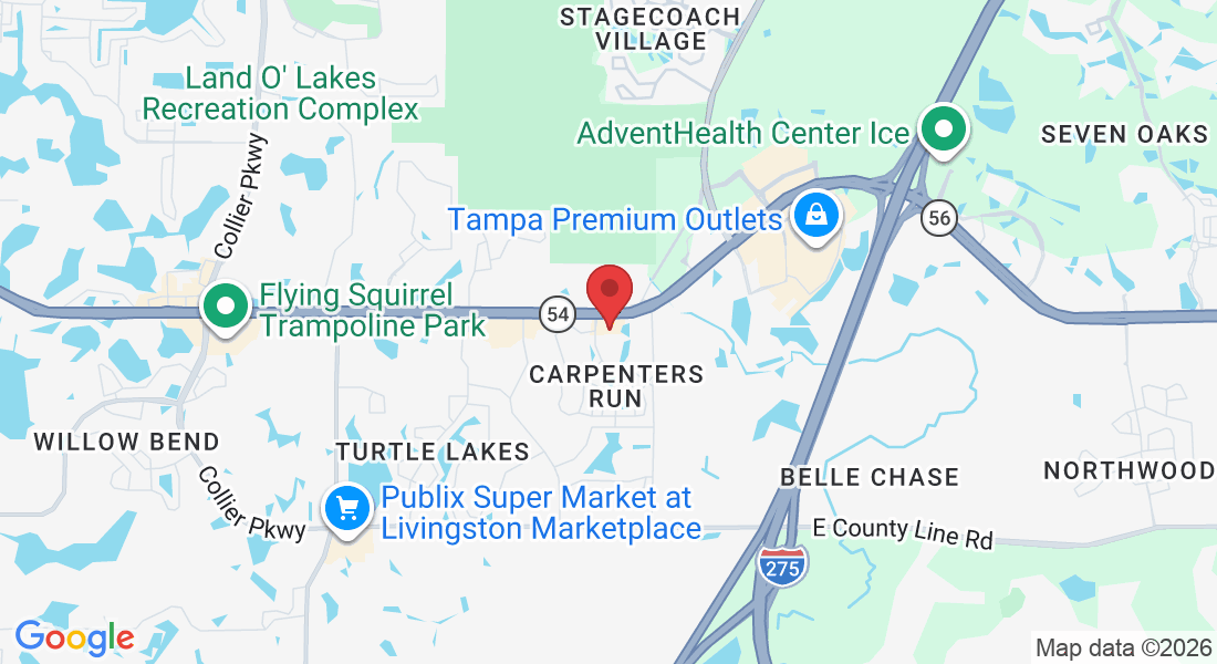 24746 FL-54, Lutz, FL 33559, USA