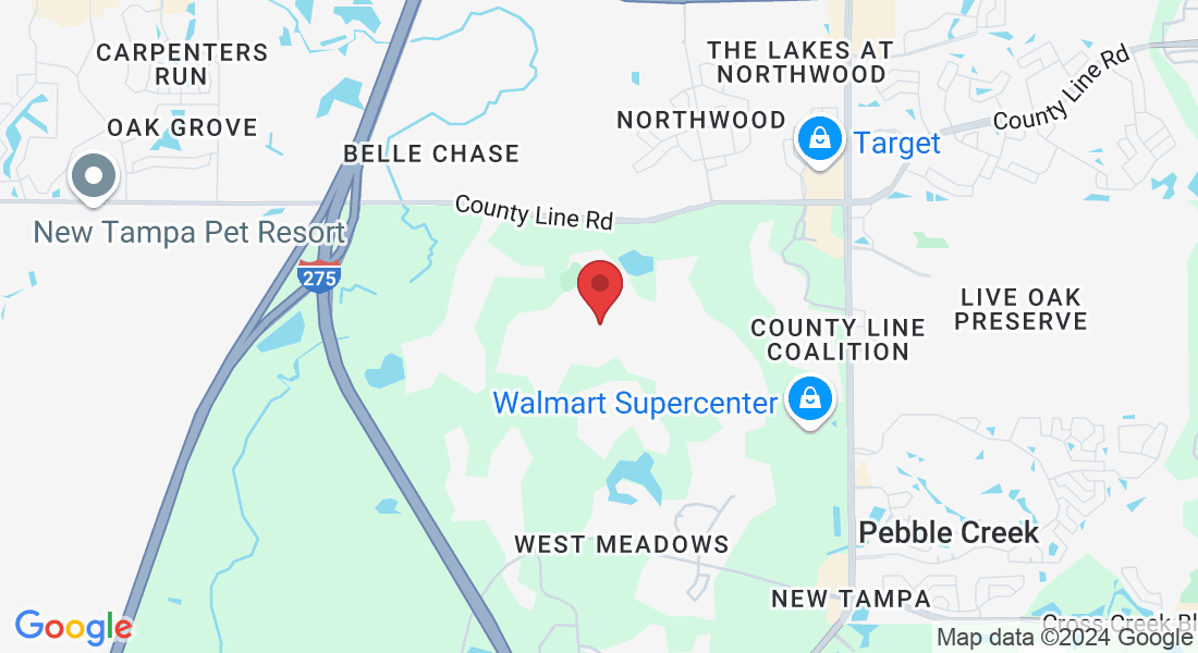 20210 Cane River Way, Tampa, FL 33647, USA