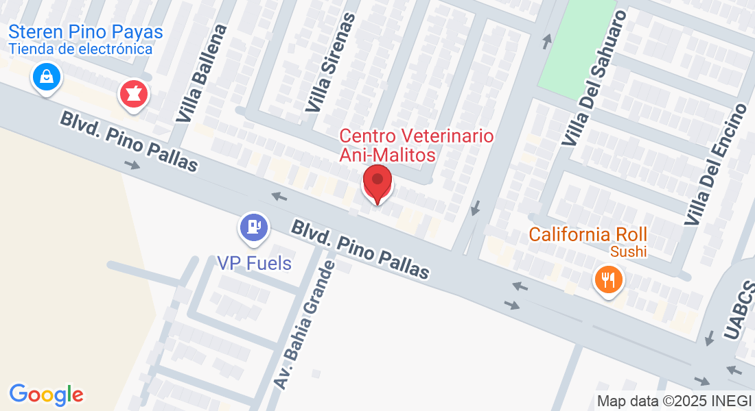 Blvd. Pino Pallas 244, Villas del Encanto, 23085 La Paz, B.C.S., México