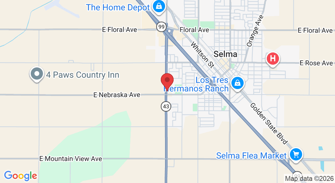 2036 S Highland Ave, Selma, CA 93662, USA