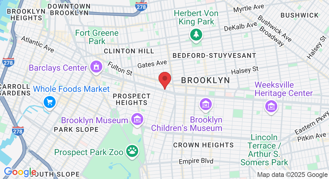 1073 Atlantic Ave, Brooklyn, NY 11238, USA