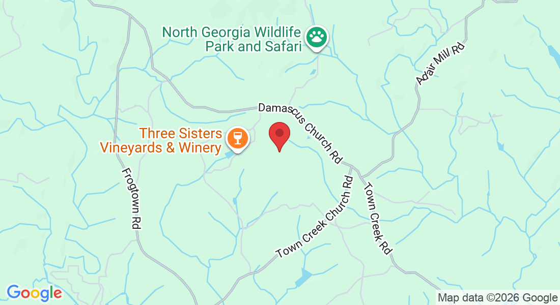 22 Dream Big Trce, Dahlonega, GA 30533, USA