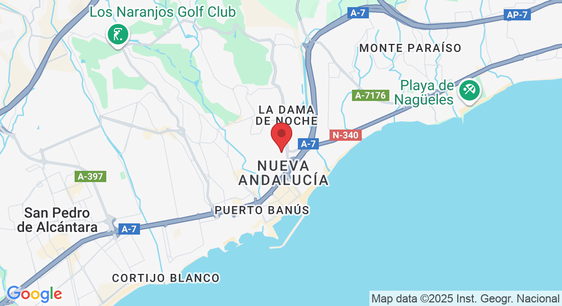 Local 1-3, Urb. la Alzambra, 29660 Marbella, Málaga, Spain