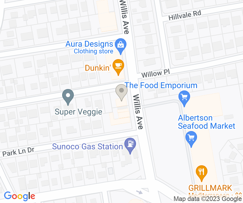 1041 Willis Ave, Albertson, NY 11507, USA