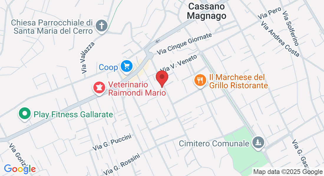 Via del Lavoro, 18, 21012 Cassano Magnago VA, Italia