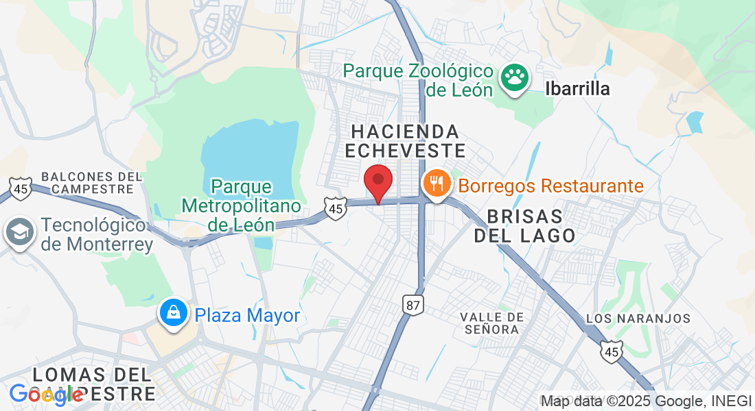 C. Bosque de Jacarandas 120, Portales de la Arboleda, 37100 León de los Aldama, Gto., México