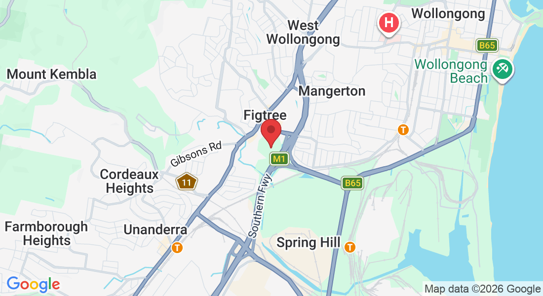 147 The Avenue, Figtree NSW 2525, Australia
