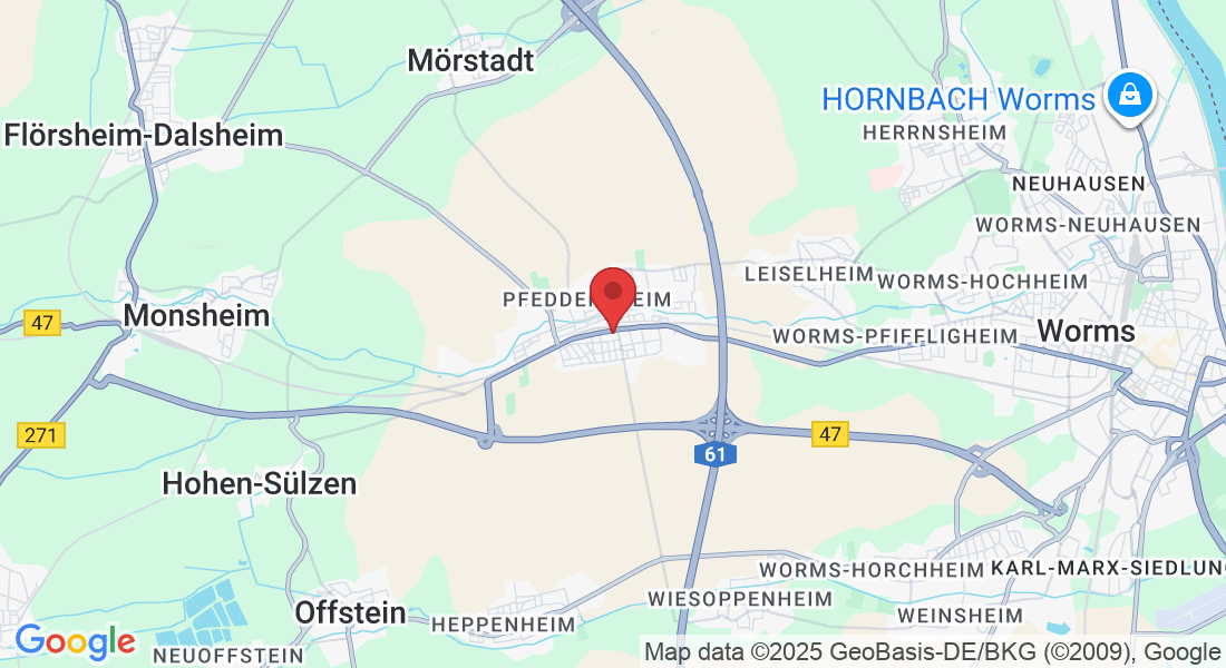 Zellertalstraße 8, 67551 Worms, Deutschland