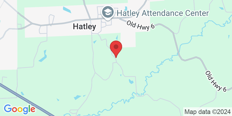 60070 Hatley Cemetery Cir, Amory, MS 38821, USA