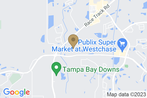 13053 W Linebaugh Ave suite 102, Tampa, FL 33626, USA