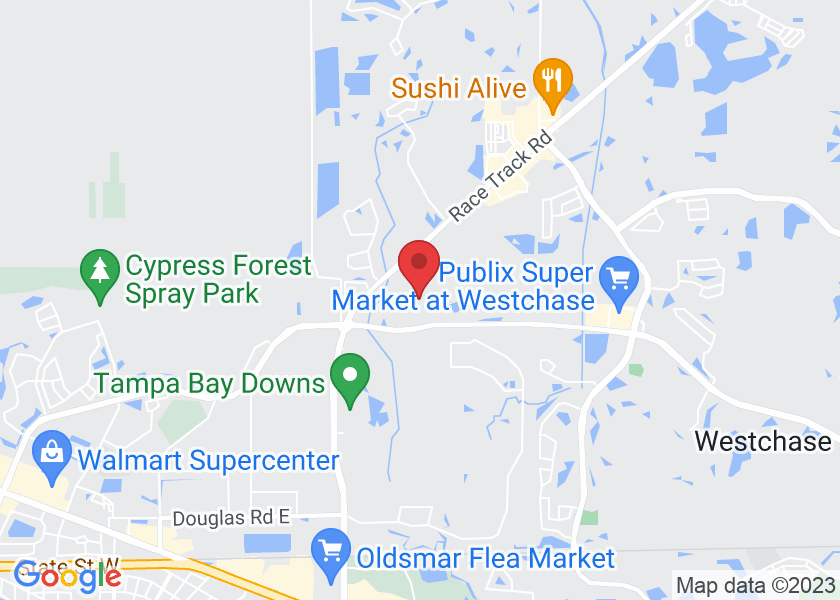 13053 W Linebaugh Ave suite 102, Tampa, FL 33626, USA
