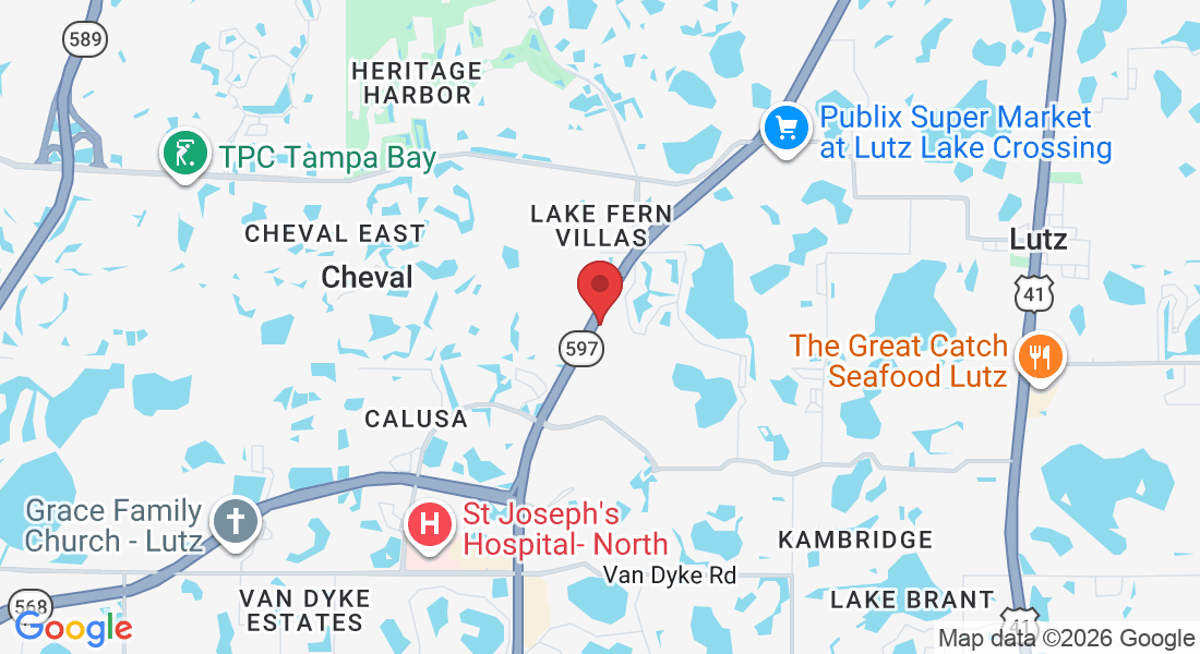 18713 N Dale Mabry Hwy, Lutz, FL 33548, USA