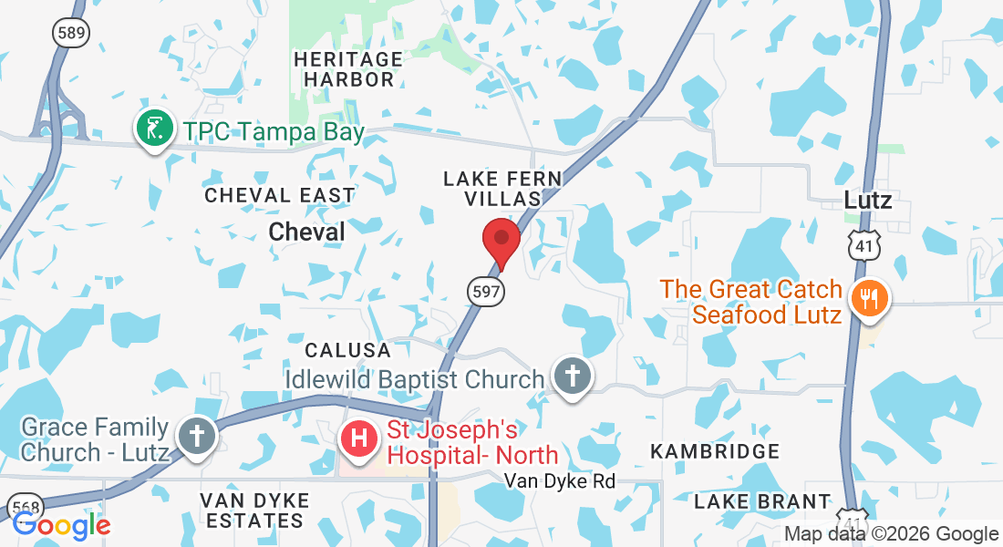 18713 N Dale Mabry Hwy, Lutz, FL 33548, USA