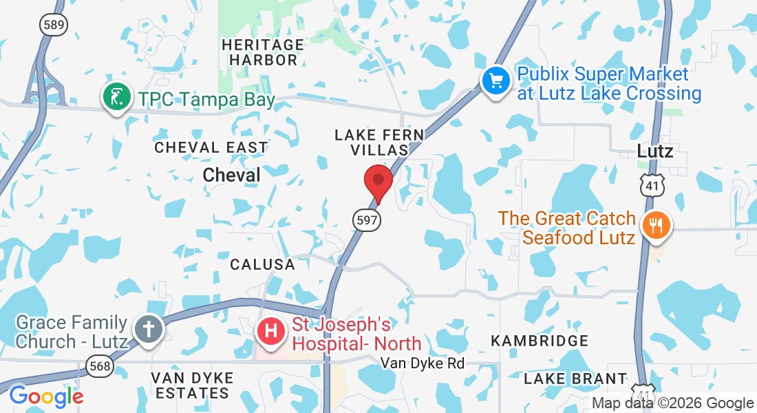18713 N Dale Mabry Hwy, Lutz, FL 33548, USA