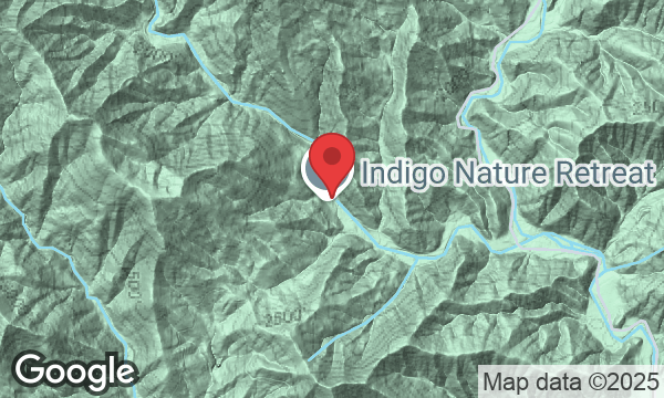 1037 Newberry Creek Rd, Old Fort, NC 28762, USA