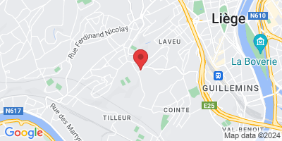 Rue Georges Antoine, 4000 Liège, Belgique