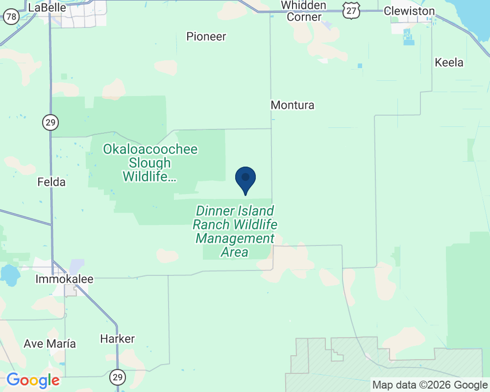 South Florida, FL, EE. UU.