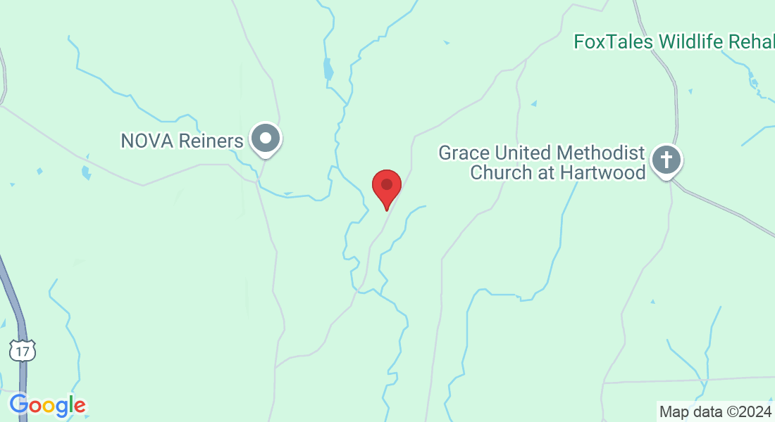 13130 Blackwells Mill Rd, Goldvein, VA 22720, USA