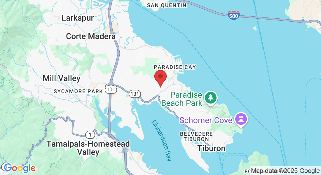 45 Mercury Ave, Belvedere Tiburon, CA 94920, USA
