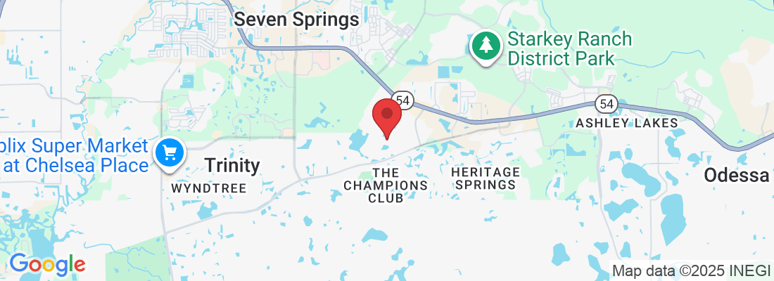 10326 Tecoma Dr, Trinity, FL 34655, USA
