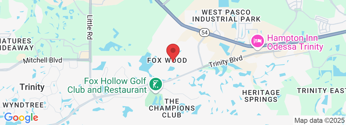 10326 Tecoma Dr, Trinity, FL 34655, USA