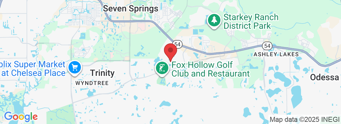 10326 Tecoma Dr, Trinity, FL 34655, USA