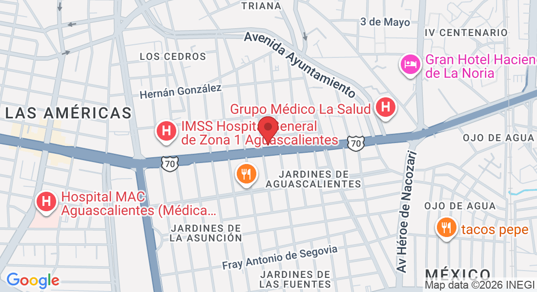 Av de la Convención de 1914 Sur 804, Jardines de Aguascalientes, 20270 Aguascalientes, Ags., México