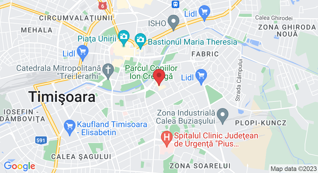 Strada Aurelianus, Timișoara 300005, Romania