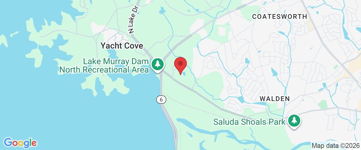 136 Old Selwood Trce, Columbia, SC 29212, USA