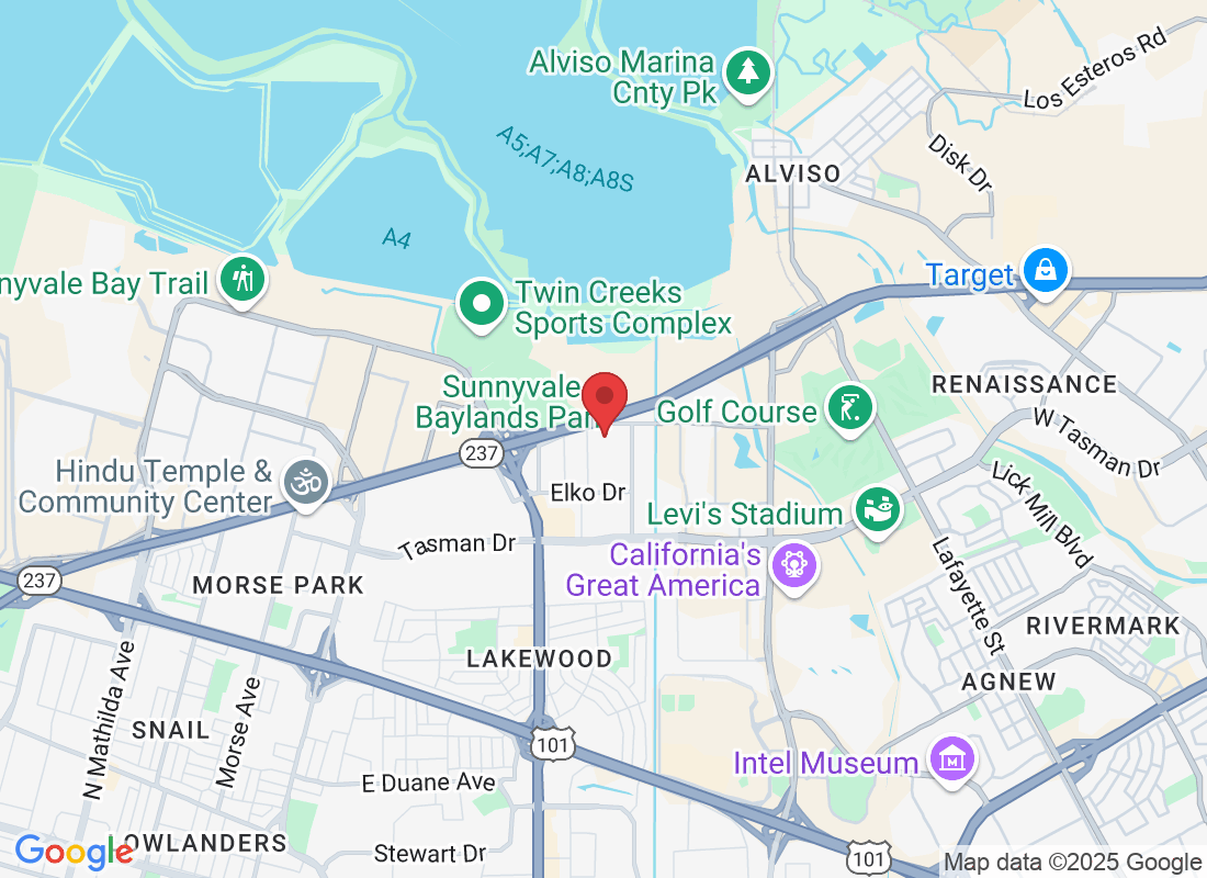 1287 Hammerwood Ave, Sunnyvale, CA 94089, USA