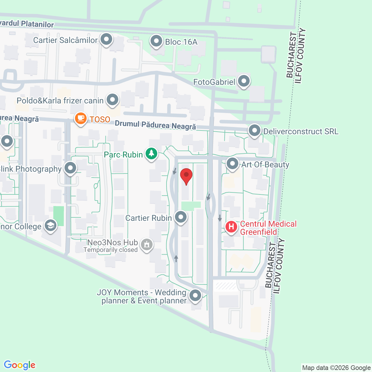 Strada Pădurea Mogoșoaia 31, București 014043, Romania