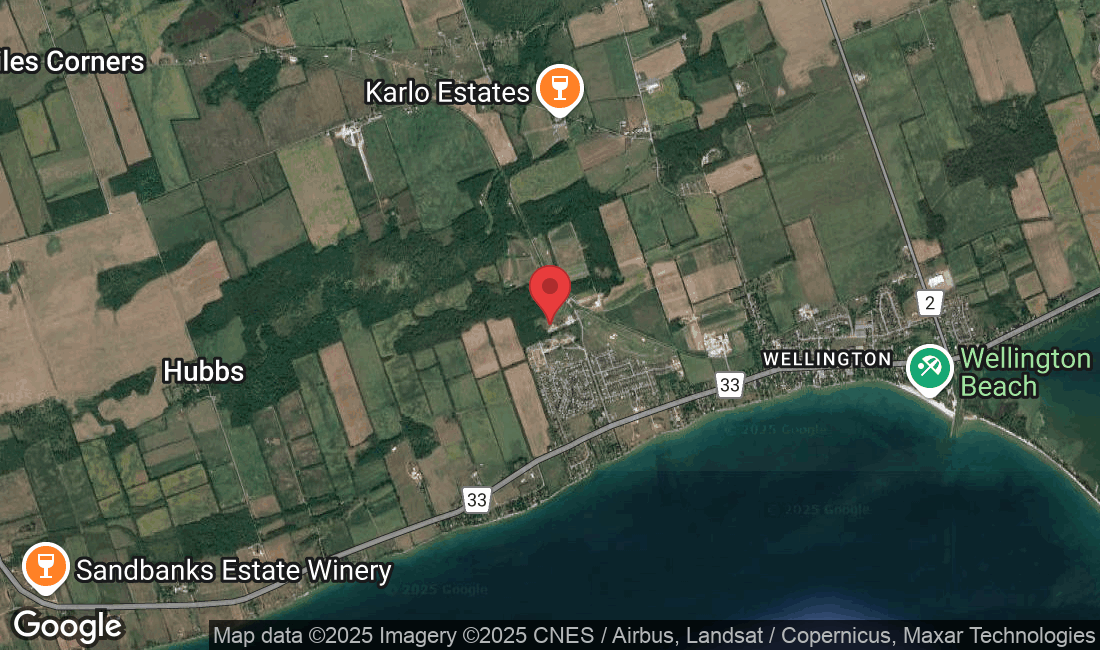 41 Dorchester Dr, Wellington, ON K0K 3L0, Canada