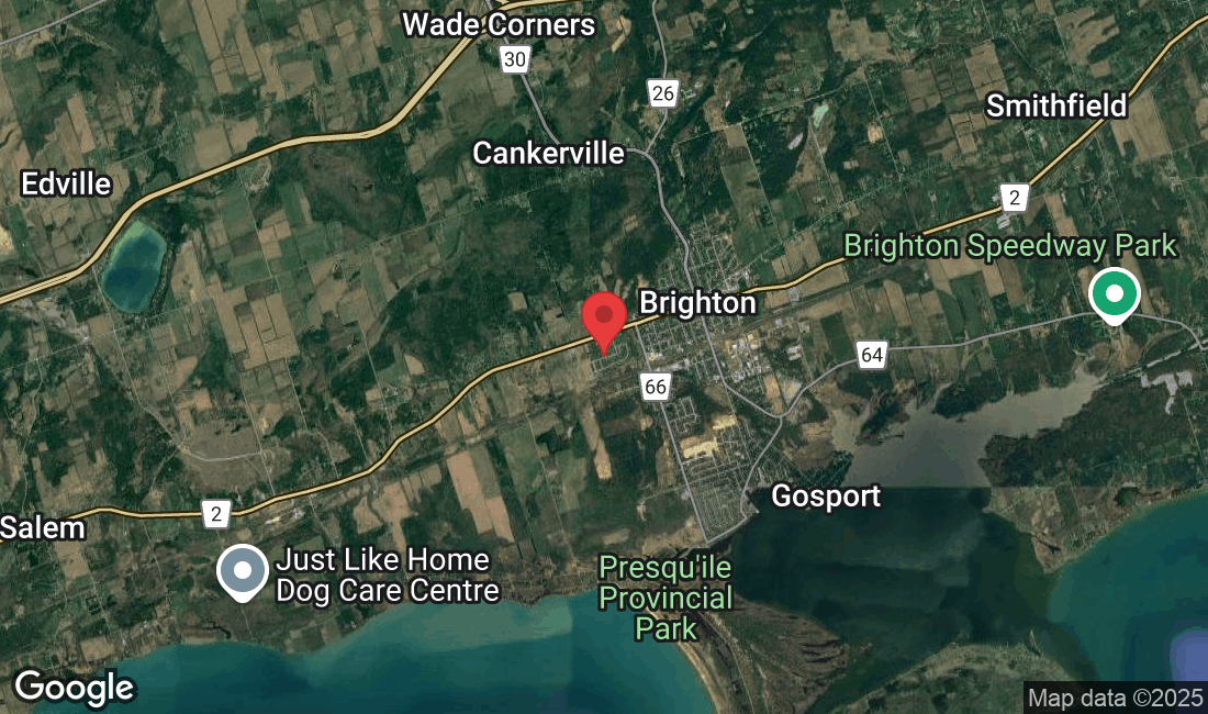 Cortland Way, Brighton, ON K0K 1H0, Canada