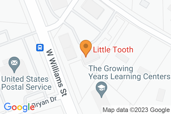 504 W Williams St, Apex, NC 27502, USA