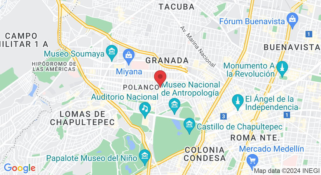 Av. Horacio 542, Polanco, Polanco V Secc, Miguel Hidalgo, 11560 Ciudad de México, CDMX, México