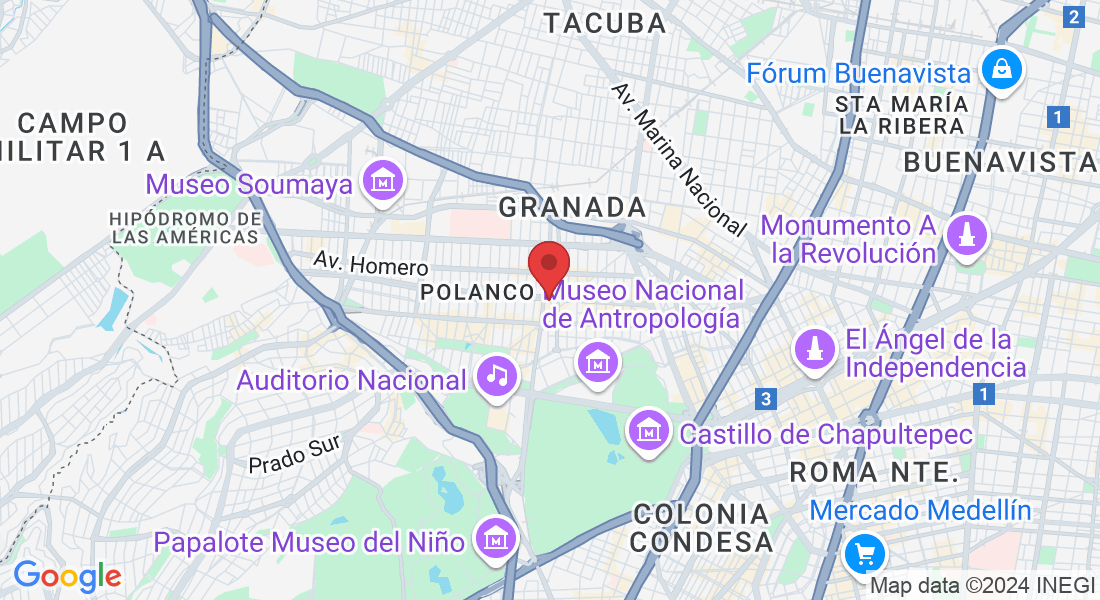Av. Horacio 542, Polanco, Polanco V Secc, Miguel Hidalgo, 11560 Ciudad de México, CDMX, México