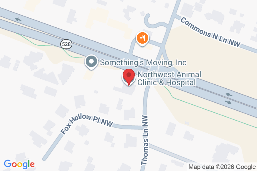Northwest Animal Clinic & Hospital
