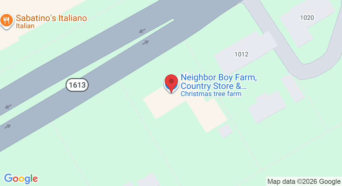 1008 Davis Dr, Apex, NC 27523, USA