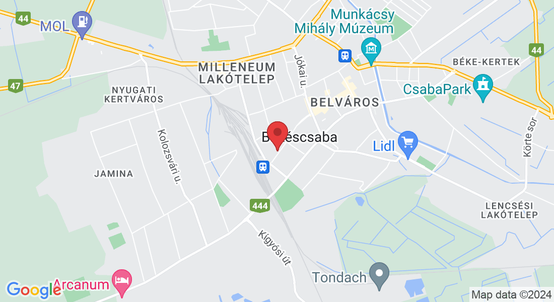 Békéscsaba, Andrássy út 79, 5600 Magyarország