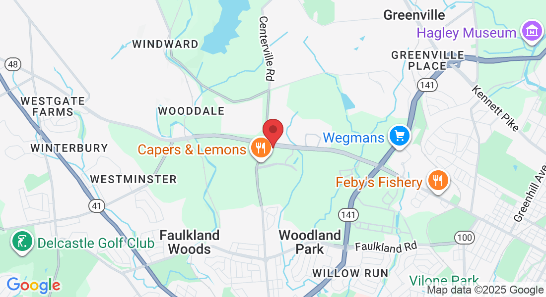 251 Little Falls Dr, Wilmington, DE 19808, USA