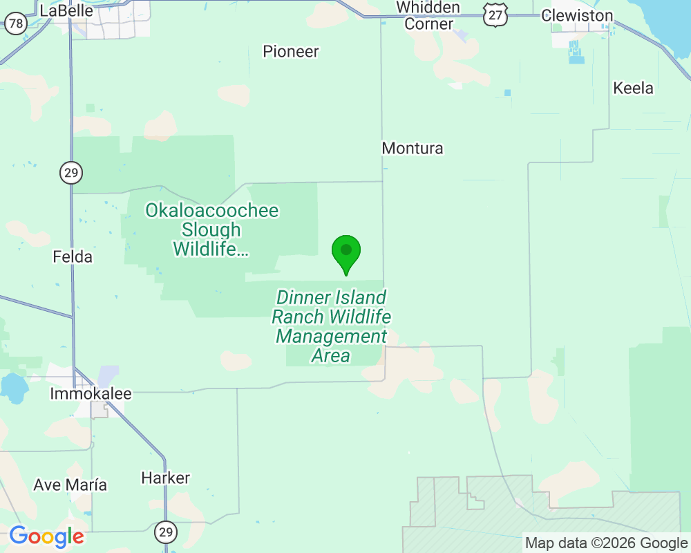 South Florida, FL, EE. UU.