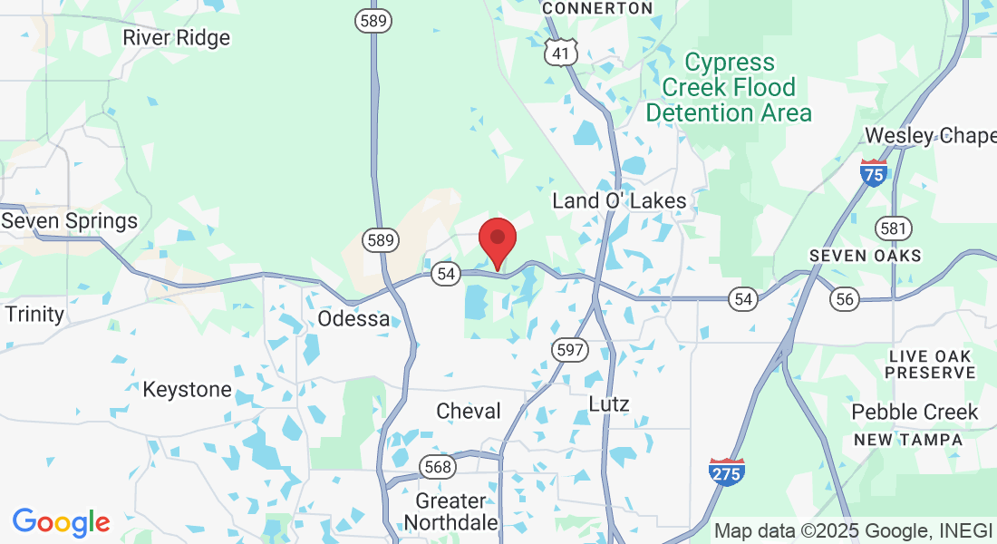 18865 FL-54 suite 306, Lutz, FL 33558, USA